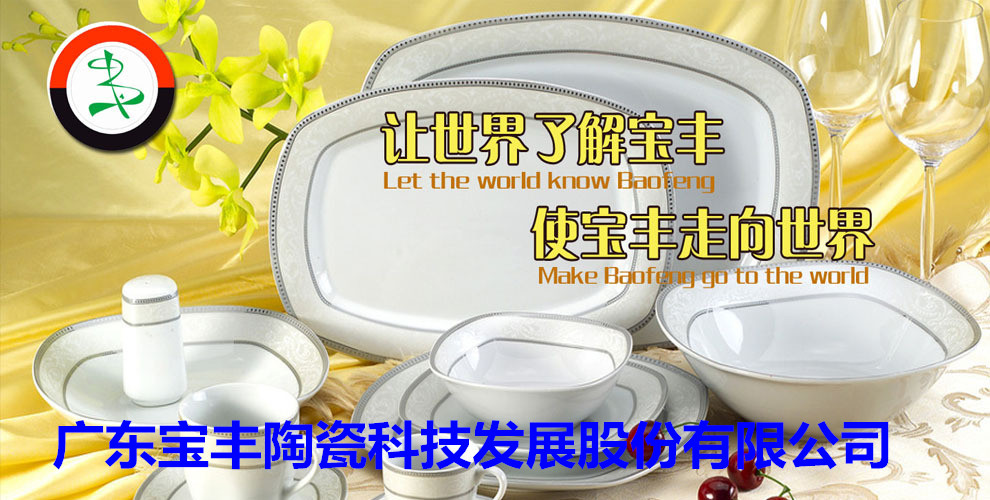 廣東寶豐陶瓷科技發(fā)展股份有限公司成立于2003年，占地總面積5萬(wàn)平方米，建筑面積3萬(wàn)平方米，2004年10月建成投產(chǎn)?，F(xiàn)擁有兩條先進(jìn)遂道窯生產(chǎn)線(xiàn),主要生產(chǎn)中高檔日用陶瓷，產(chǎn)品遠(yuǎn)銷(xiāo)歐美，東南亞等國(guó)家。